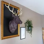 Ferienhaus Ferienhaus In Suhl In Der Naehe Des Rennsteigs *